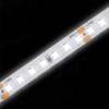 Mini PCB 6MM Wholesale Hot Sale LED Strip Light 10W Modern China Made Decorative Strip Light IP20 Indoor Lighting