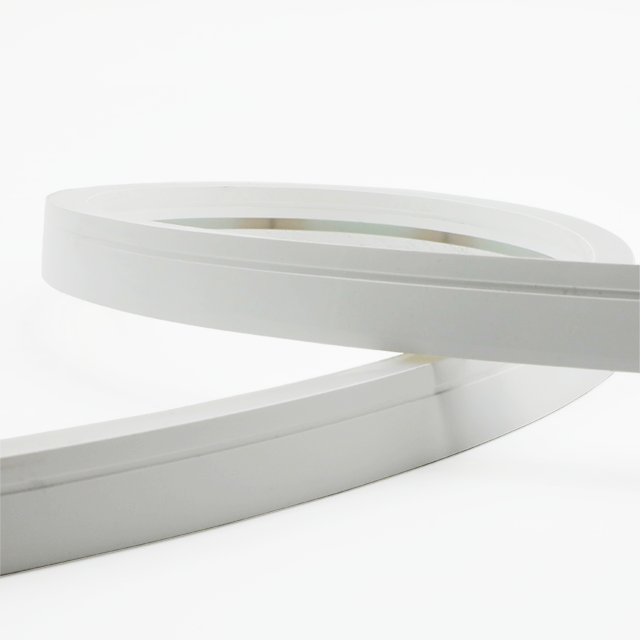 IP68 Outdoor Waterproof Neon 14W Hot Sale LED Strip Light 2700K/4000K/6000K/RGB Selectable