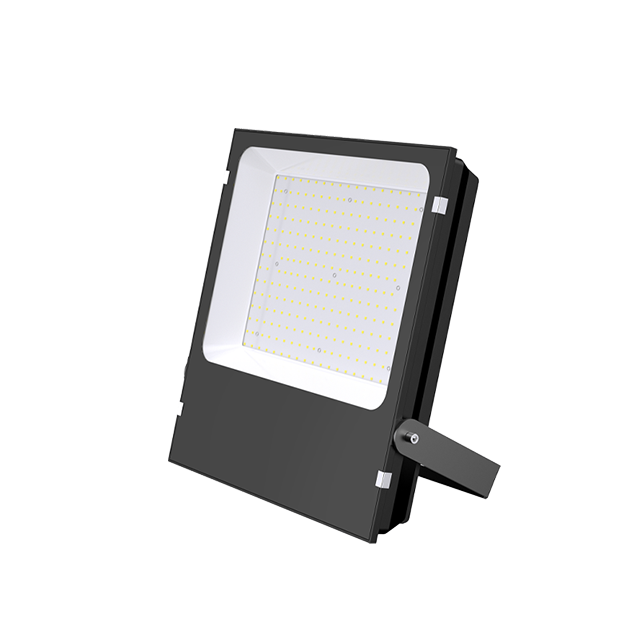 100W 150W 200W 240W 300W Made in China LED Hot Sale Black Floodlight 7 Years Warranty