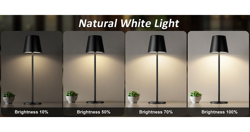 Battery Operated LED Desk Lamp (4)