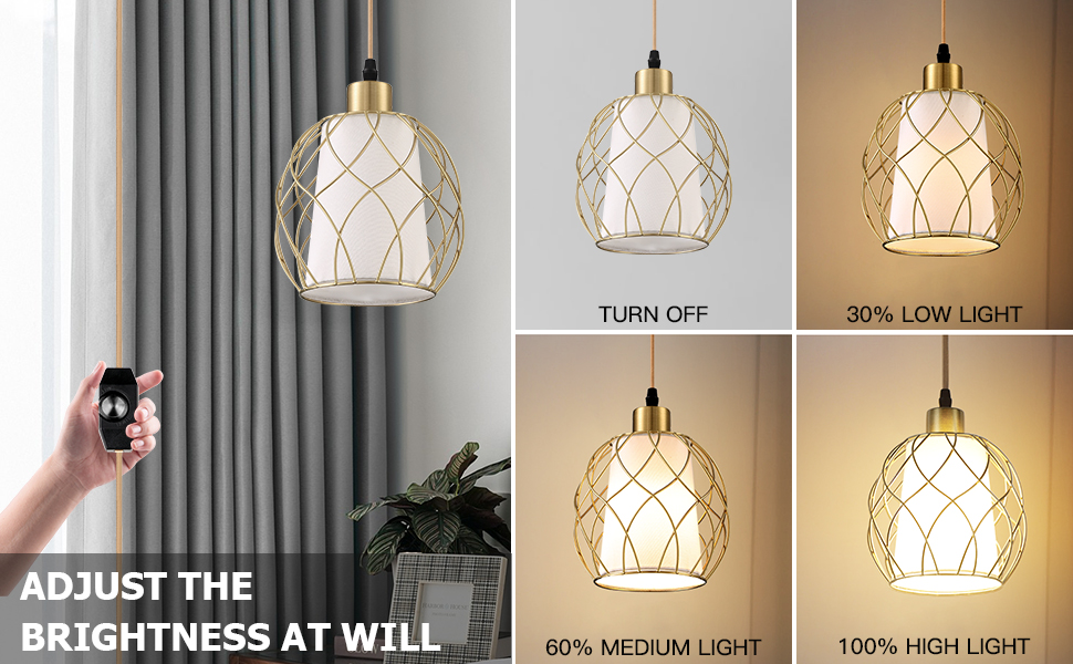 Plug in Pendant Light (6)