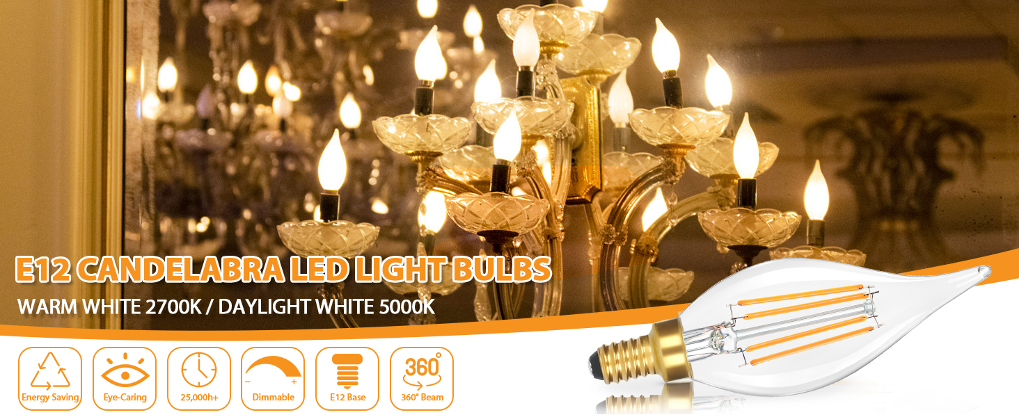 Candelabra LED Light Bulbs (1)