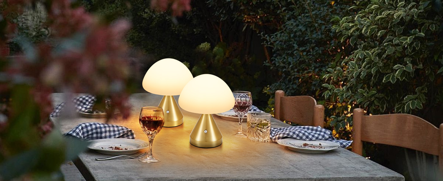 Cordless Small Mushroom Lamp (10)