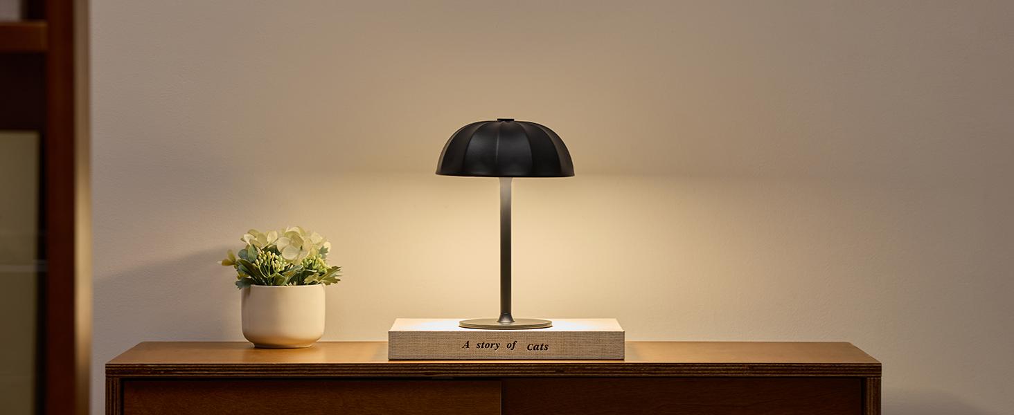 Cordless Table Lamp (7)
