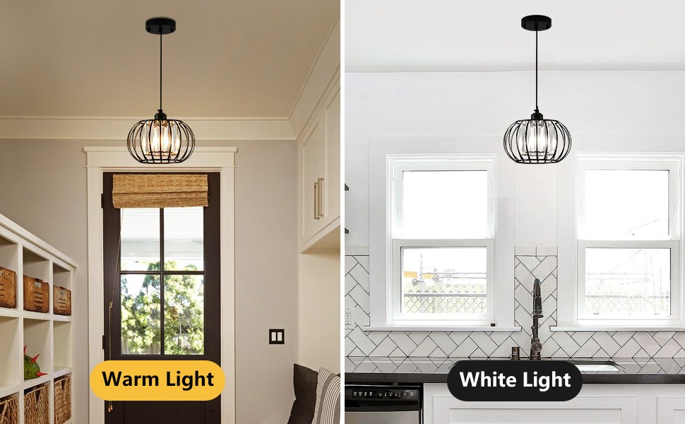 Pendant Light Fixtures (5)