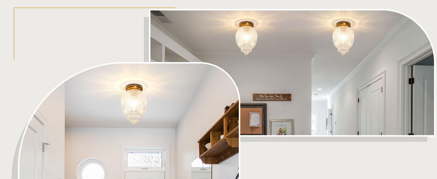 Flush Mount Ceiling Light (5)