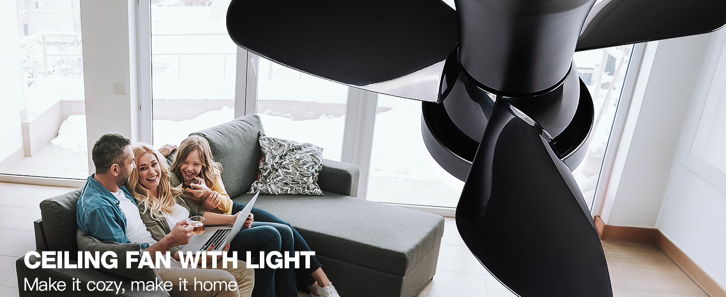 Ceiling Fans with Lights (1)