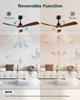 Ceiling Fans with Lights and Remote, Outdoor Ceiling Fan for Patios with Light 3 Downrods, 3 Blades Modern Ceiling Fan Noiseless Reversible DC Motor, Wood Fan for Farmhouse 