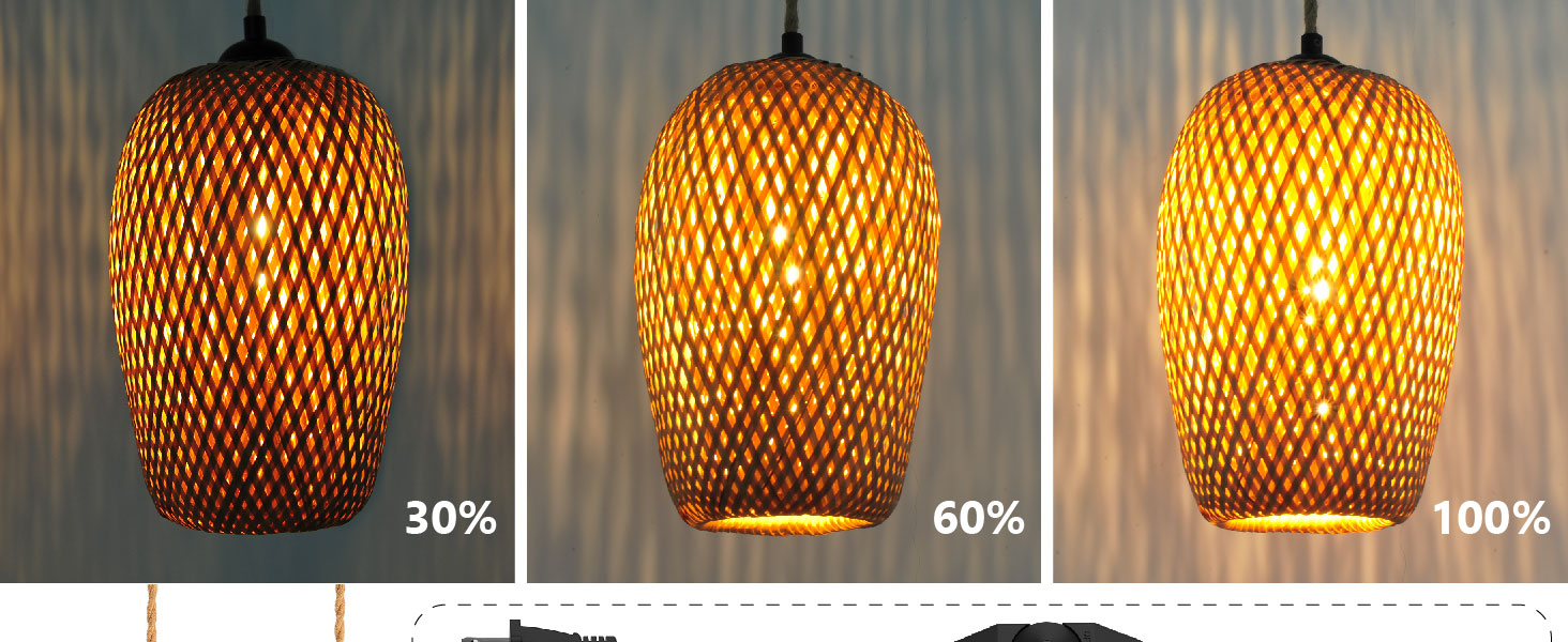 Plug in Pendant Light (3)