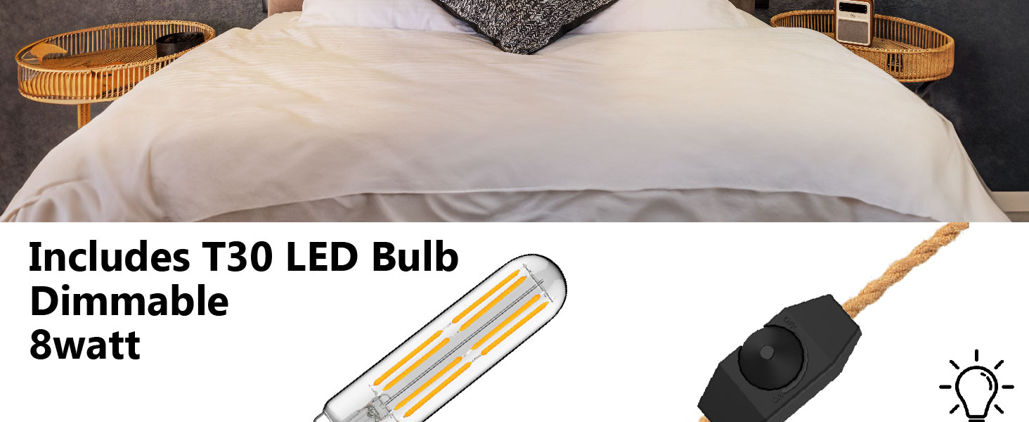 Plug in Pendant Light (2)