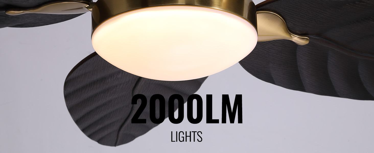 52 Tropical Ceiling Fans with Lights, Indoor Outdoor Black Ceiling Fan with RemoteAPP Control (7)