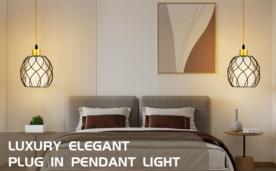 Plug in Pendant Light (2)