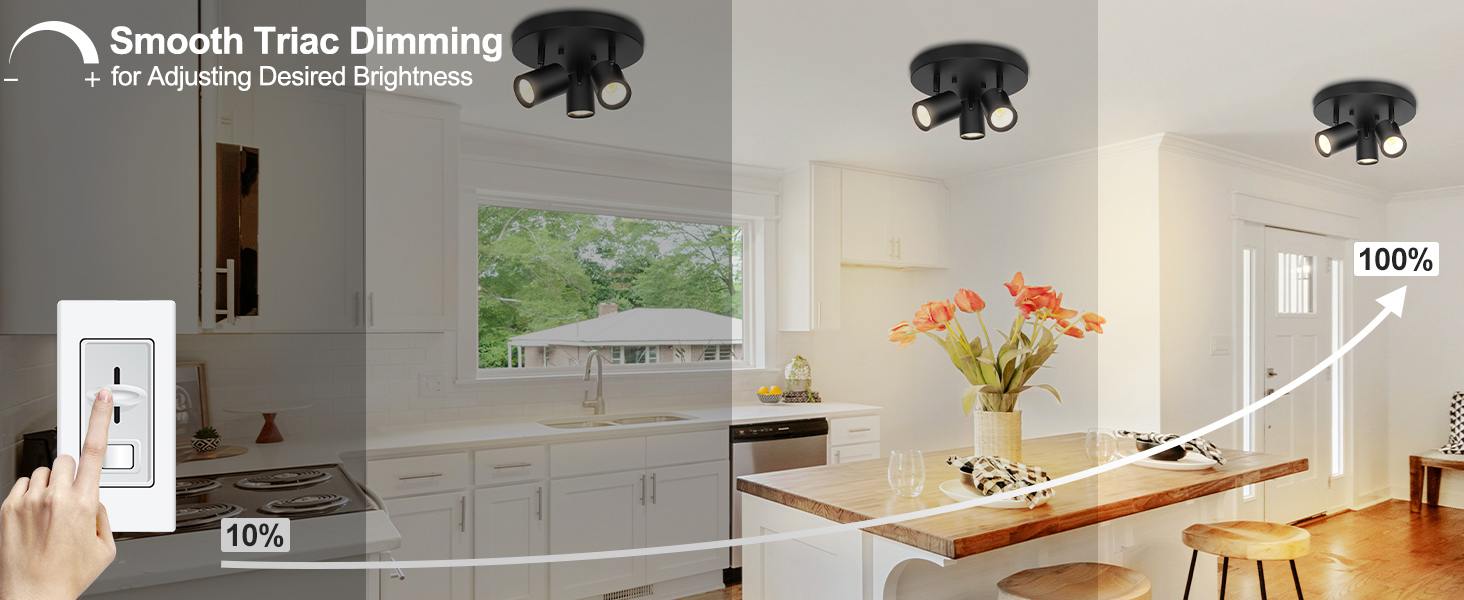 5CCT 3-Light Multi Directional LED Track Light (4)