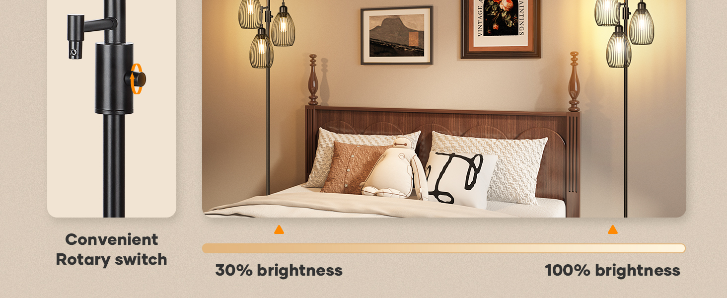 Floor Lamp (3)
