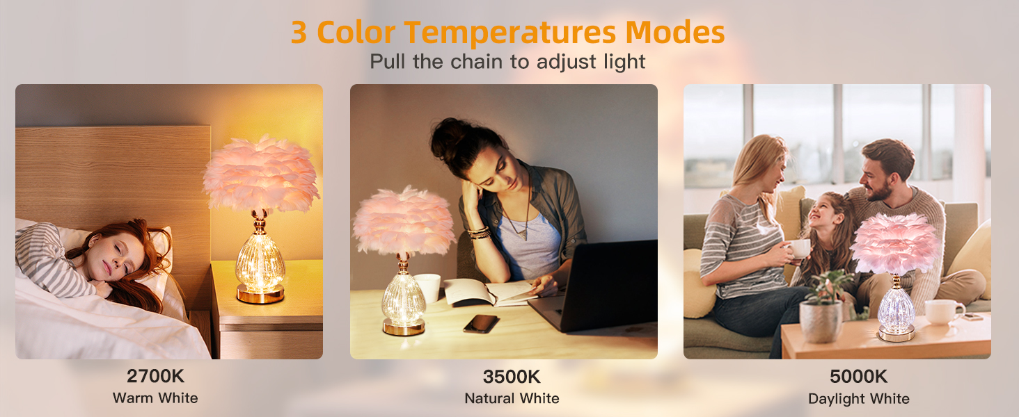 Feather Table Lamp (1)