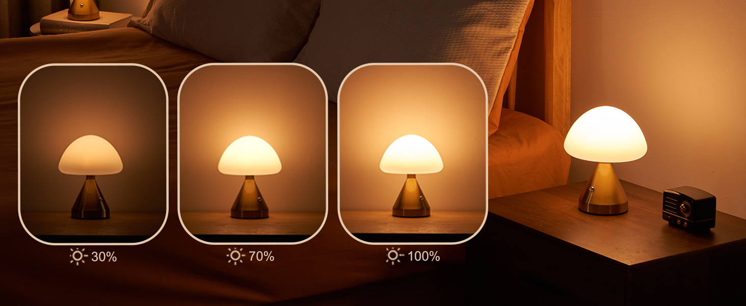 Cordless Small Mushroom Lamp (5)