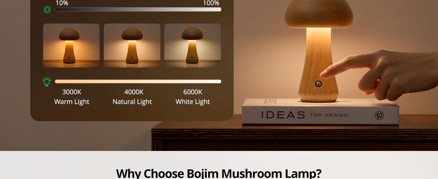 Wood Mushroom Lamp (3)