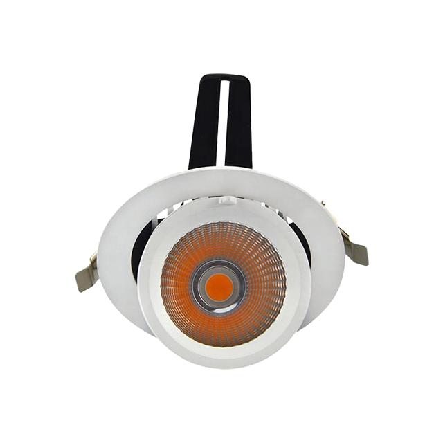30W Hot Sale LED White Recessed Downlight 3000K 4000K 6000K Switchable