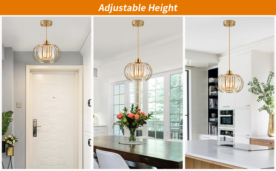 Pendant Light Fixtures (2)