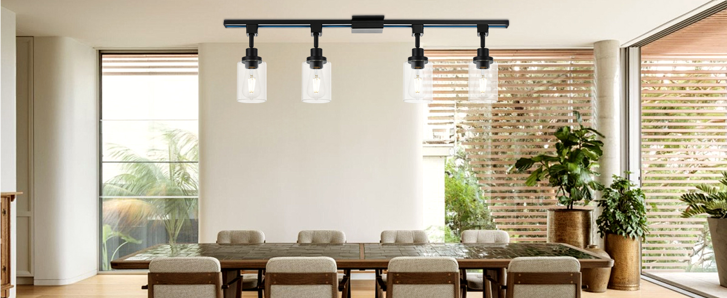 H-Type Track Lighting Heads Black with 39.3 Inches H-Type Tracking Rail (5)