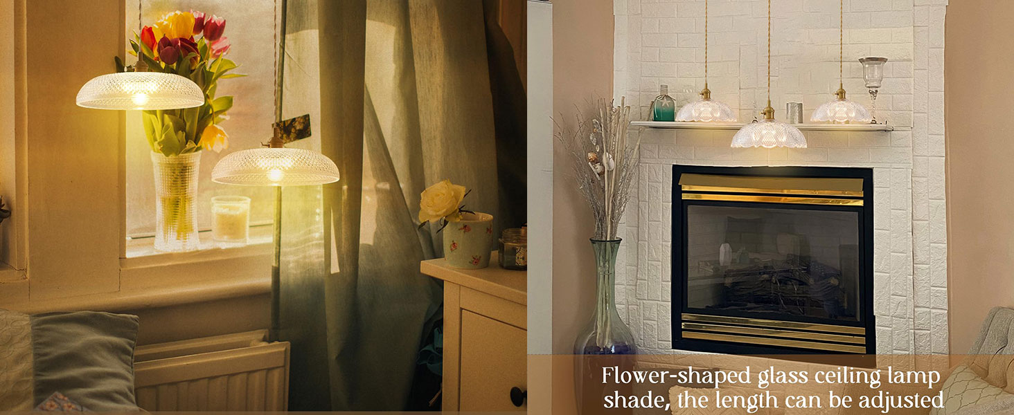 Hanging Lights for Living Room (1)