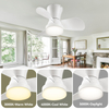 Ceiling Fans with Lights and Remote, Low Profile Ceiling Fan with Light, Modern Flush Mount Ceiling Fan for Bedroom/Kitchen/Dining Room/Patio, 6 Wind Speeds, Dimmable