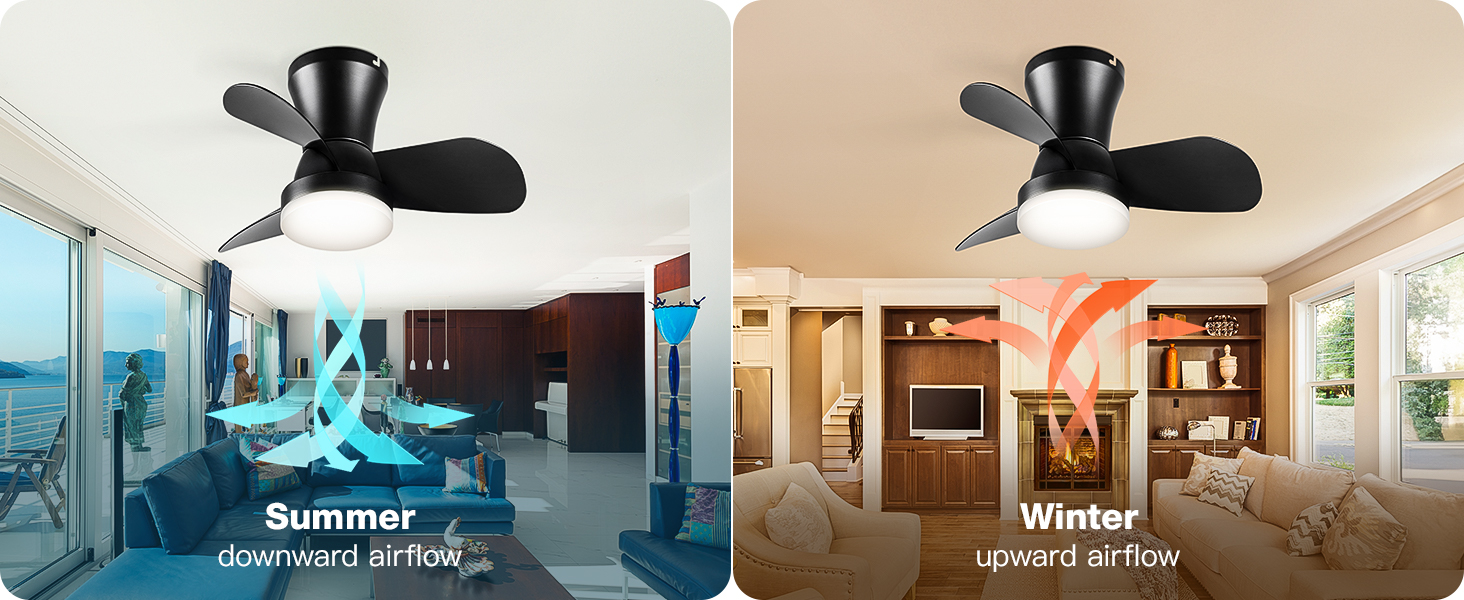 Ceiling Fans with Lights (4)