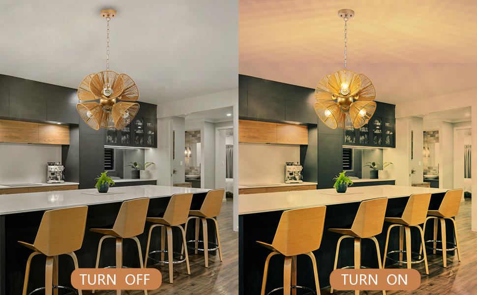 Rattan Chandelier (2)