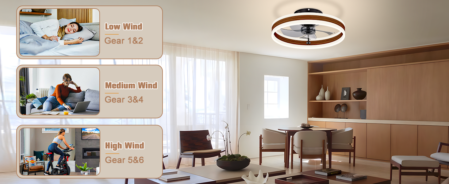 Low Profile Ceiling Fans with Lights (5)
