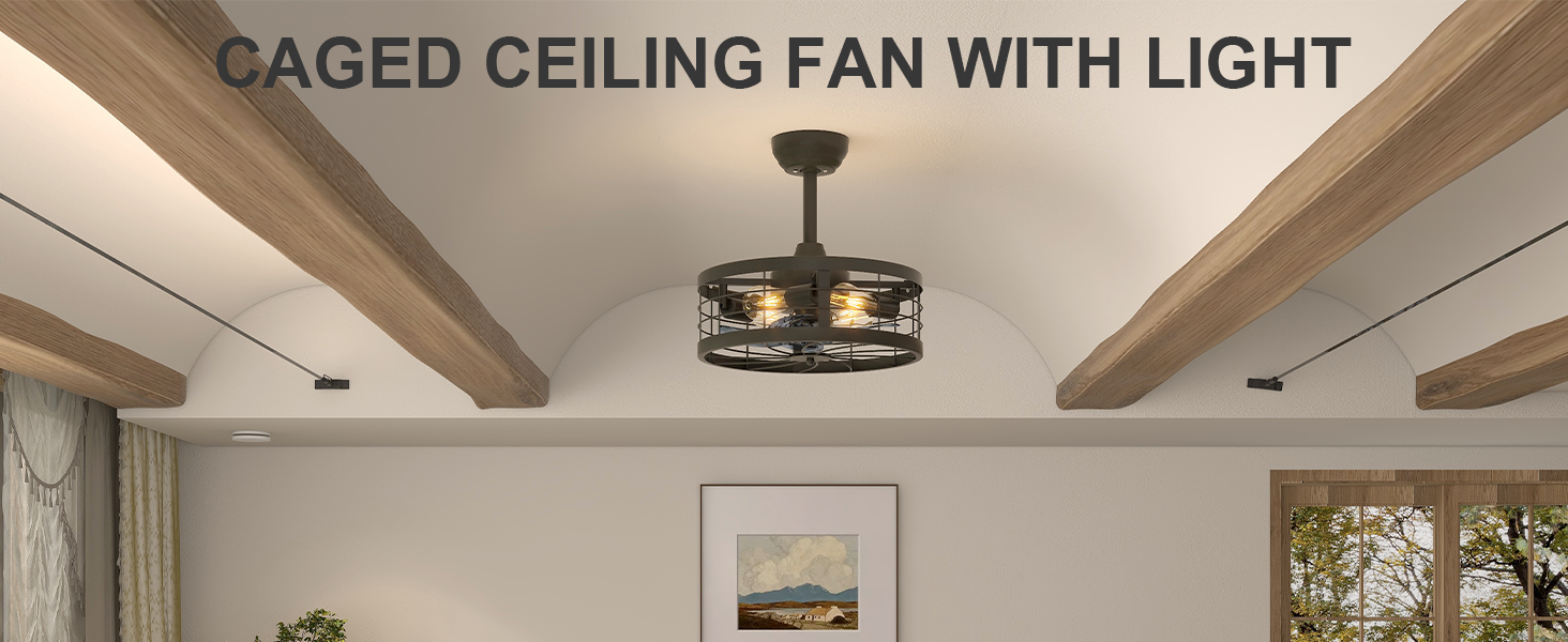 Caged Ceiling Fan with Light (1)