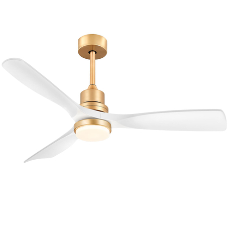 Ceiling Fans (1).jpg