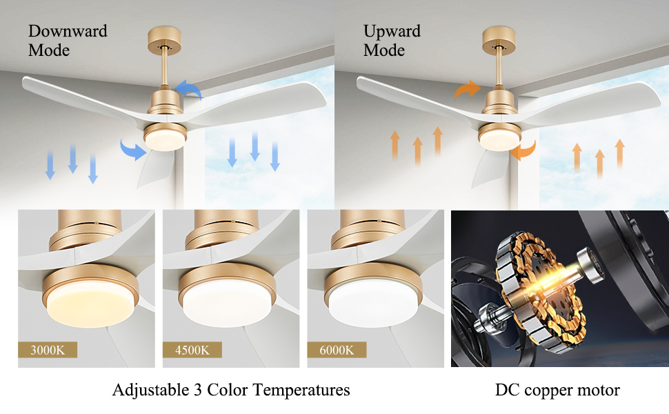 Ceiling Fans (12)