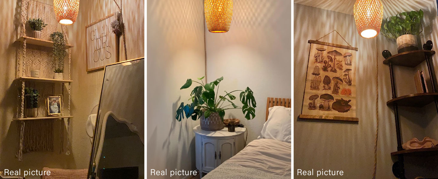 Plug in Pendant Light (6)