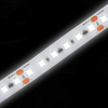 20m/roll Wholesale 24V Hot Sale LED Strip Light 9W Wholesale Modern Decorative Lighting 2700K/4000K Selectable