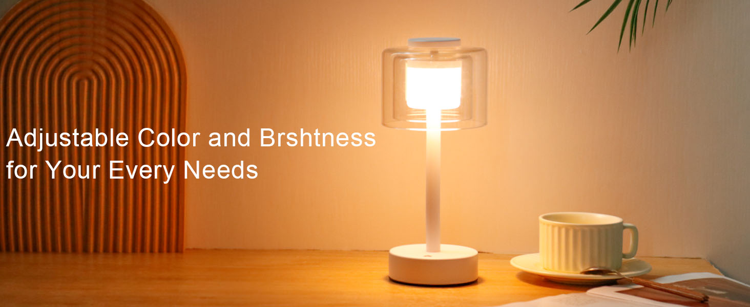 Industrial Touch Control Table Lamp (6)
