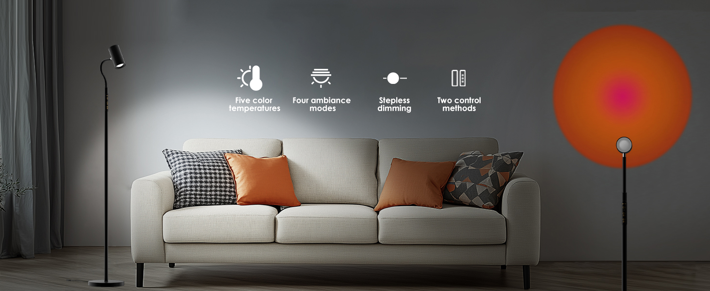Reading Floor Lamp (1)