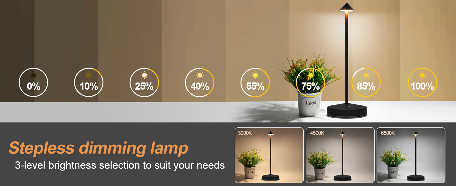 Rechargeable Table Lamps (1)