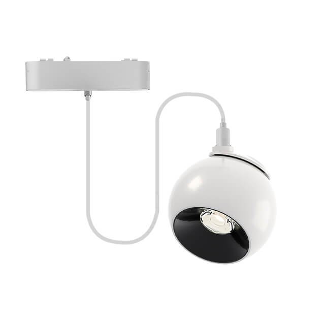 12W 36° Made In China Round Magnetic Track Light