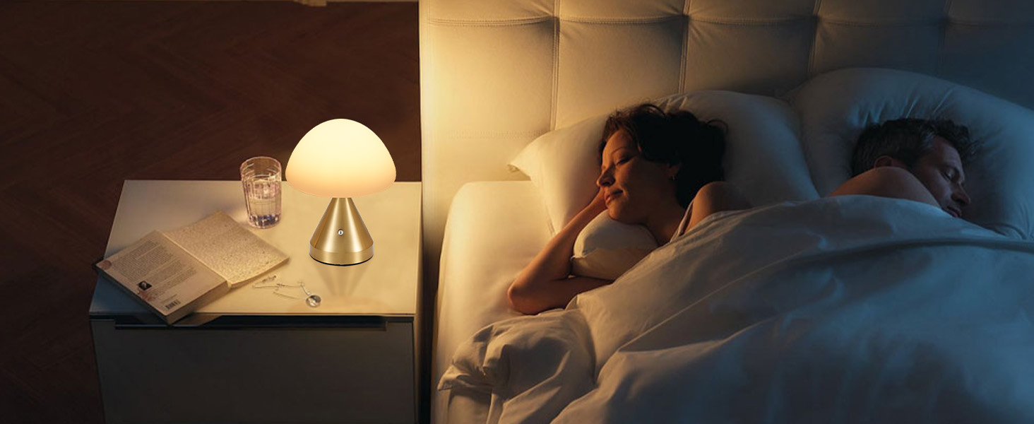 Cordless Small Mushroom Lamp (12)