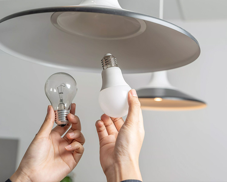 Lighting Bulbs & Tubes