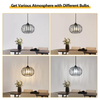 Brushed Pendant Light Fixtures, Modern Crystal Hanging Ceiling Light, Farmhouse Small Chandeliers, Metal Cage Pendant Lighting, Adjustable Pendant Lights Kitchen Island, Hallway