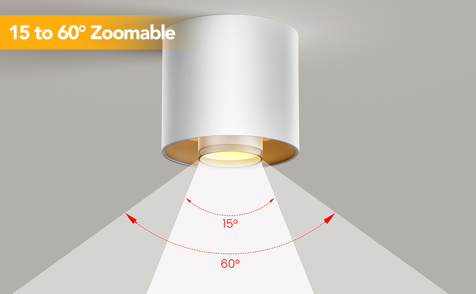 LED Ceiling Spot Lights (2)