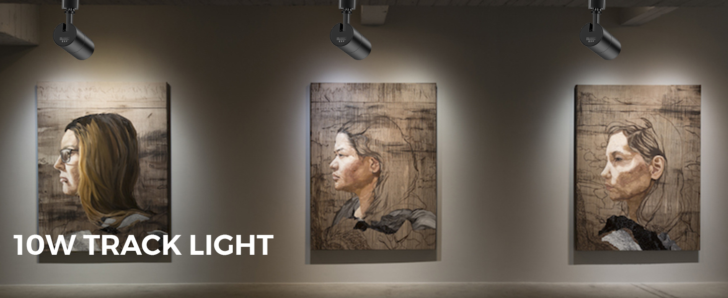 Track Light (1)