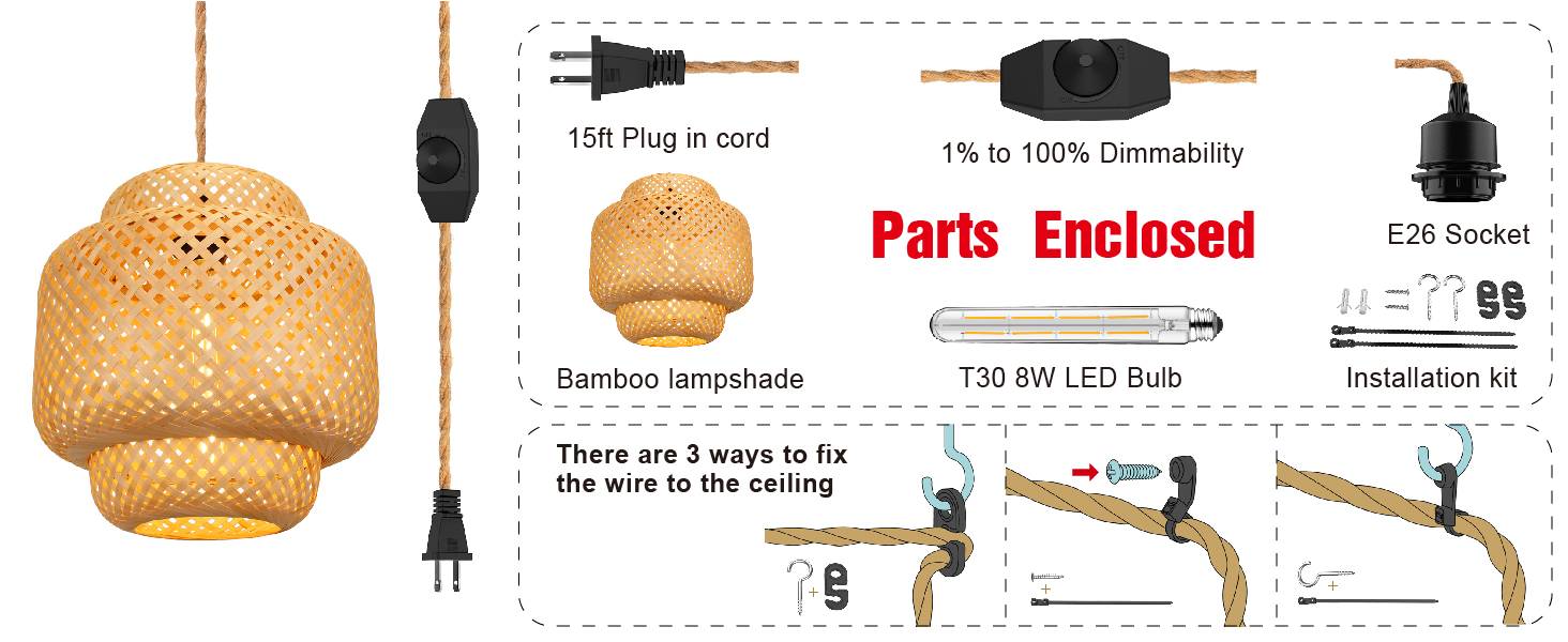 Plug in Pendant Light (6)