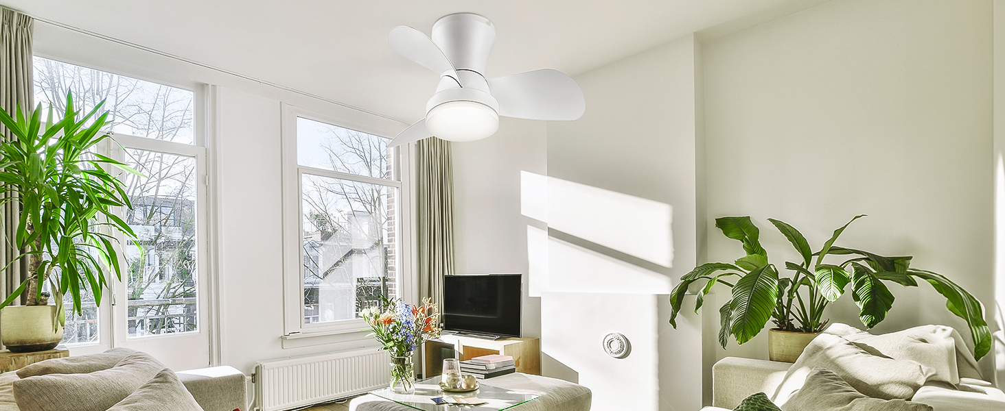 Ceiling Fans with Lights and Remote (8)