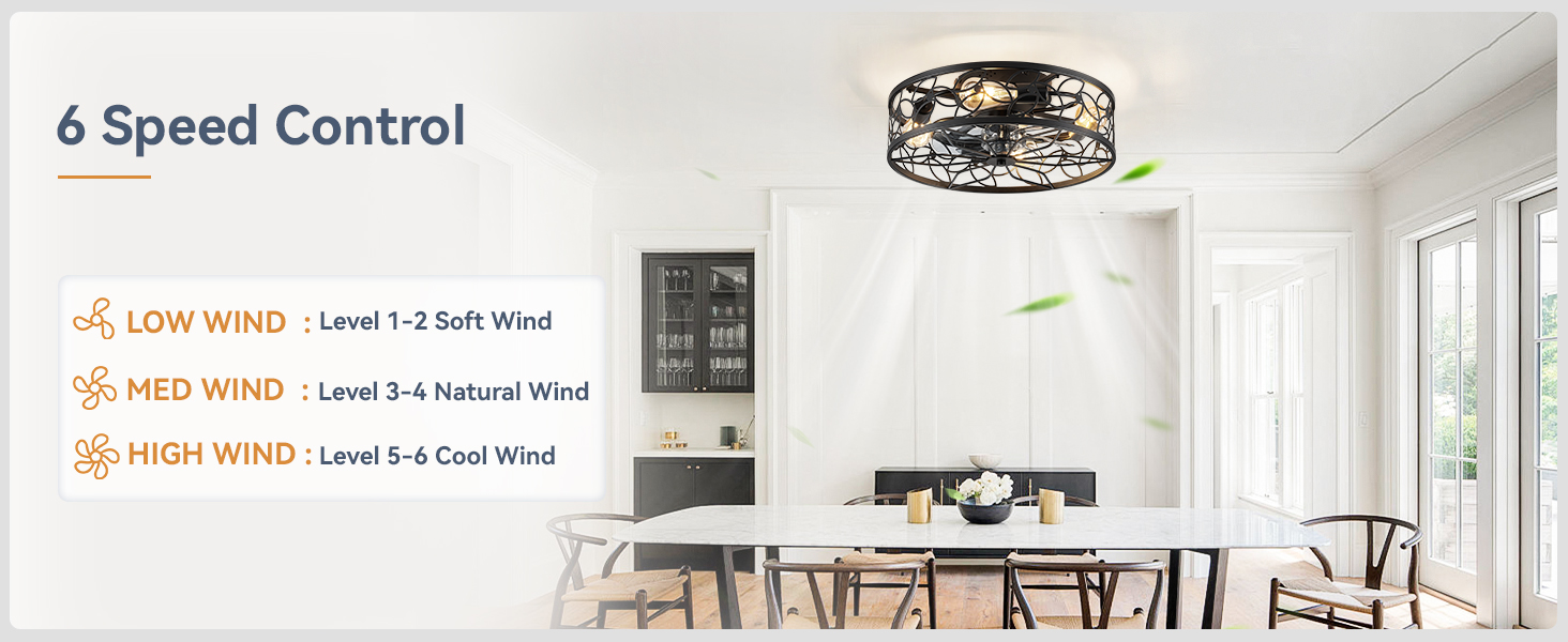 Caged Ceiling Fans with Lights (23)