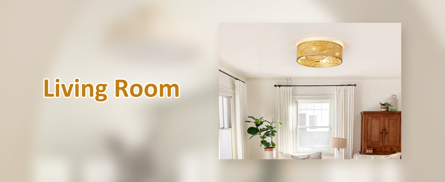 Boho Caged Ceiling Fans with Lights Flush Mount (16)