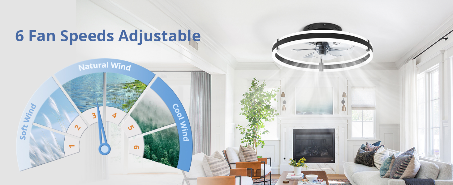 Ceiling Fans with Lights and Remote (25)