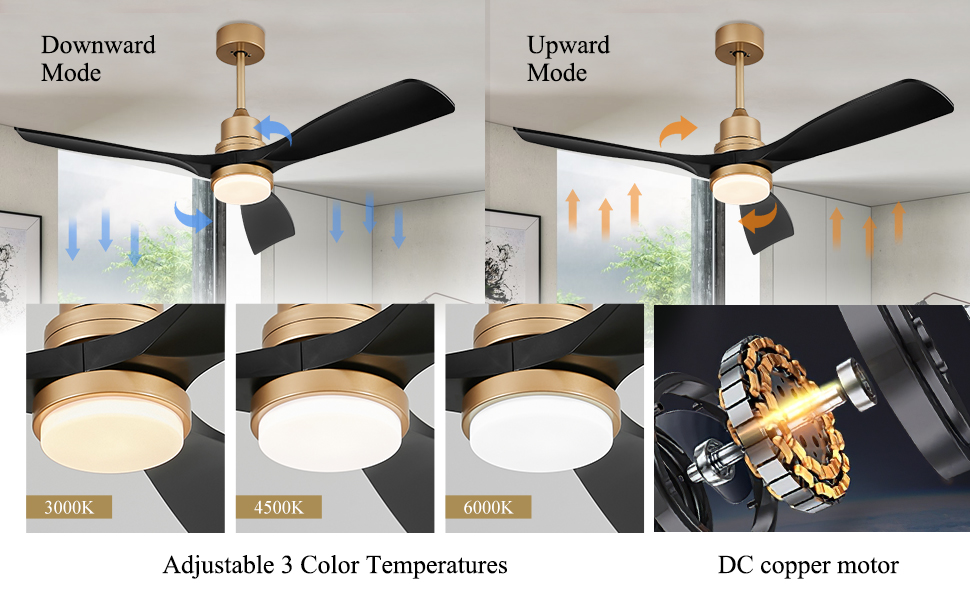 Modern Black and Gold Ceiling Fan with Lights and Remote (12)