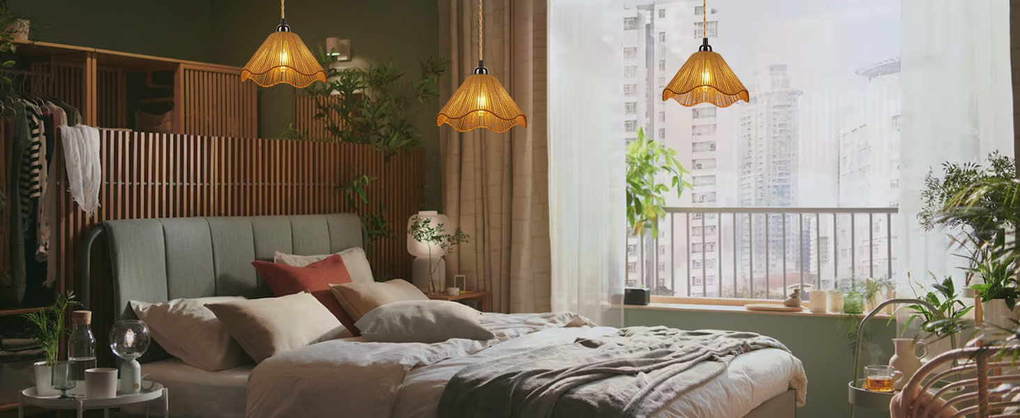 Plug in Pendant Light (9)